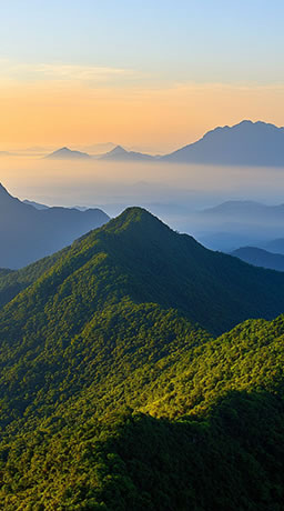 提供代加工服務